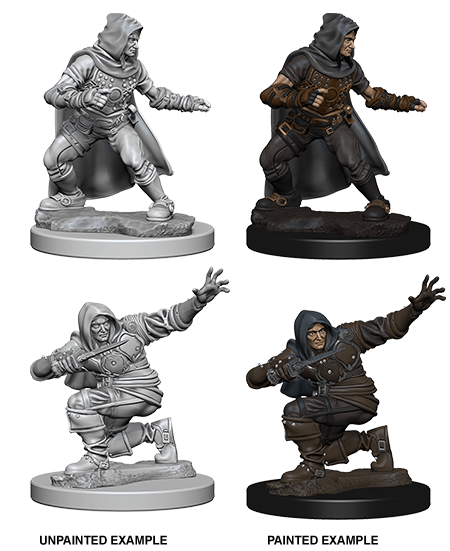 PATHFINDER DEEP CUTS UNPAINTED MINIATURES HUMAN MALE ROGUE1