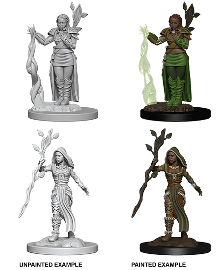 D&D NOLZUR'S MARVELOUS MINIATURES HUMAN FEMALE DRUID1
