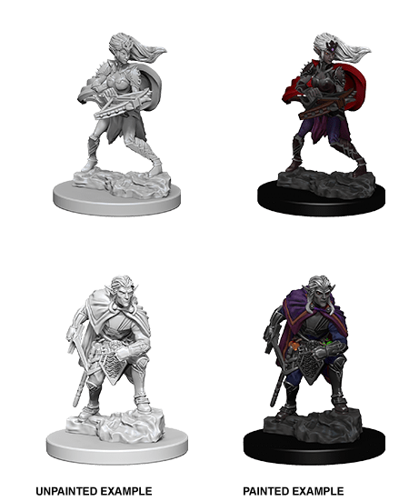 D&D NOLZUR'S MARVELOUS UNPAINTED MINIS DROW1