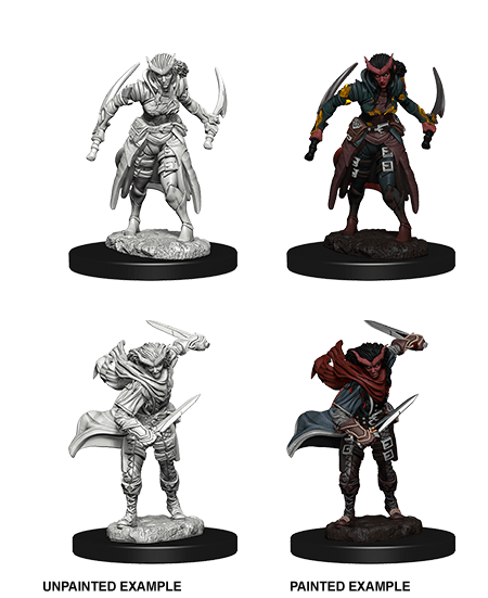 D&D NOLZUR'S MARVELOUS MINIATURES TIEFLING FEMALE ROGUE1