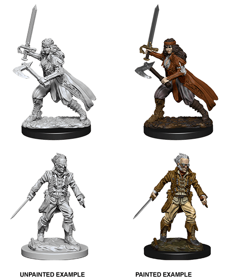D&D NOLZUR'S MARVELOUS MINIATURES VAMPIRE HUNTERS1