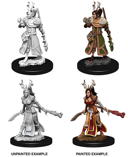 D&D NOLZUR'S MARVELOUS MINIATURES FEMALE HUMAN DRUID1