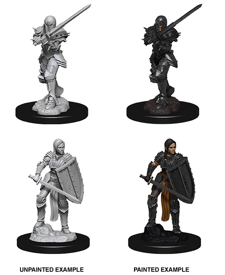 D&D NOLZUR'S MARVELOUS MINIATURES FEMALE HUMAN FIGHTER1