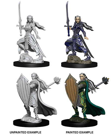 D&D NOLZUR'S MARVELOUS MINIATURES FEMALE ELF PALADIN1
