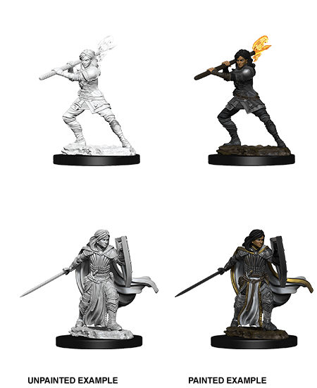 D&D NOLZUR'S MARVELOUS MINIATURES FEMALE HUMAN PALADIN1