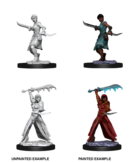 D&D NOLZUR'S MARVELOUS MINIATURES FEMALE HUMAN ROGUE1