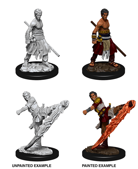 D&D NOLZUR'S MARVELOUS MINIATURES MALE HALF-ELF MONK1