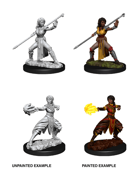 D&D NOLZUR'S MARVELOUS MINIATURES FEMALE HALF-ELF MONK1