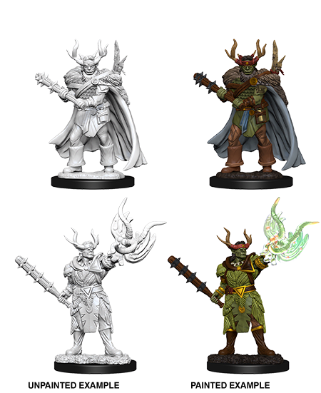 PATHFINDER DEEP CUTS MALE HALF-ORC DRUID1