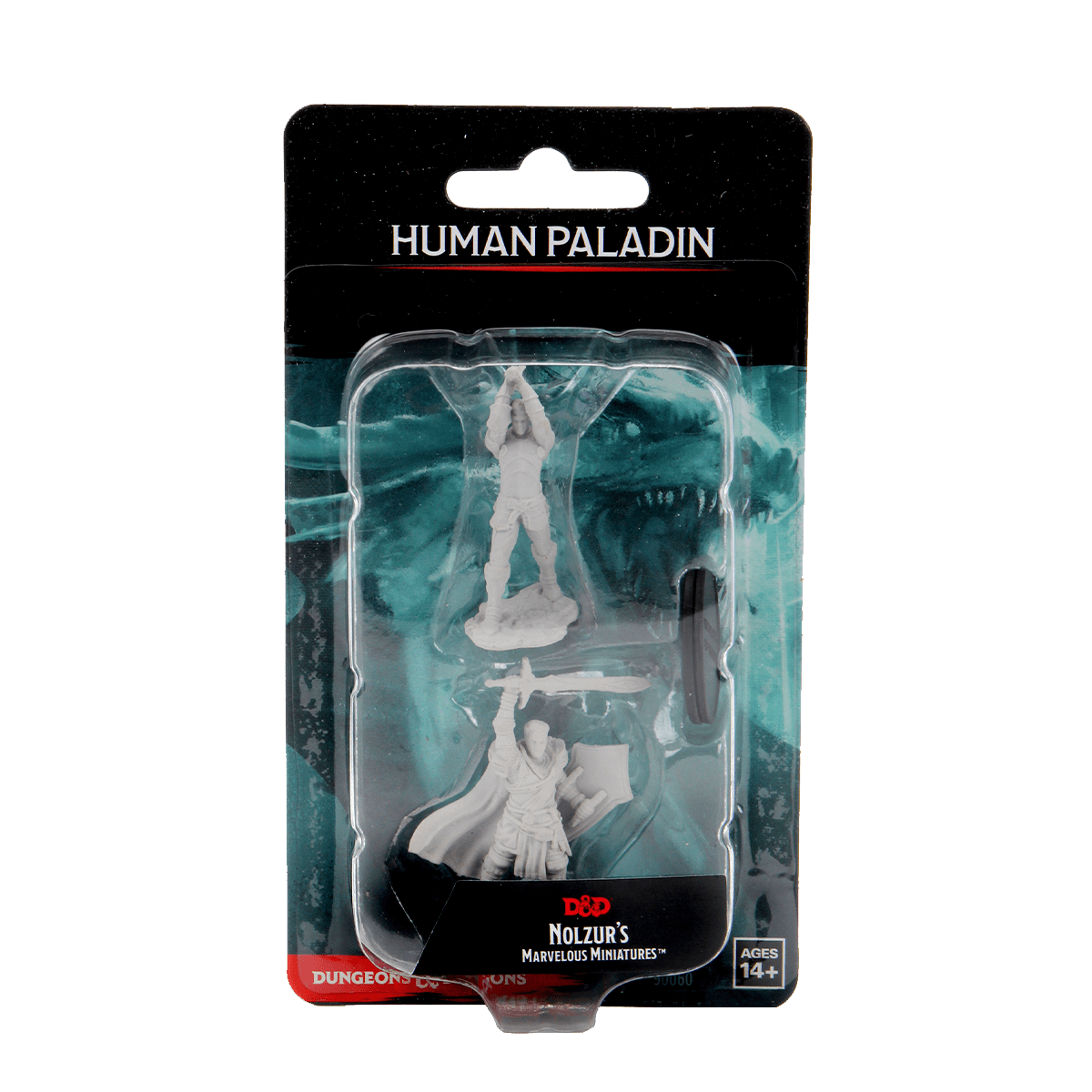 D&D NOLZUR'S MARVELOUS MINIATURES: MALE HUMAN PALADIN1