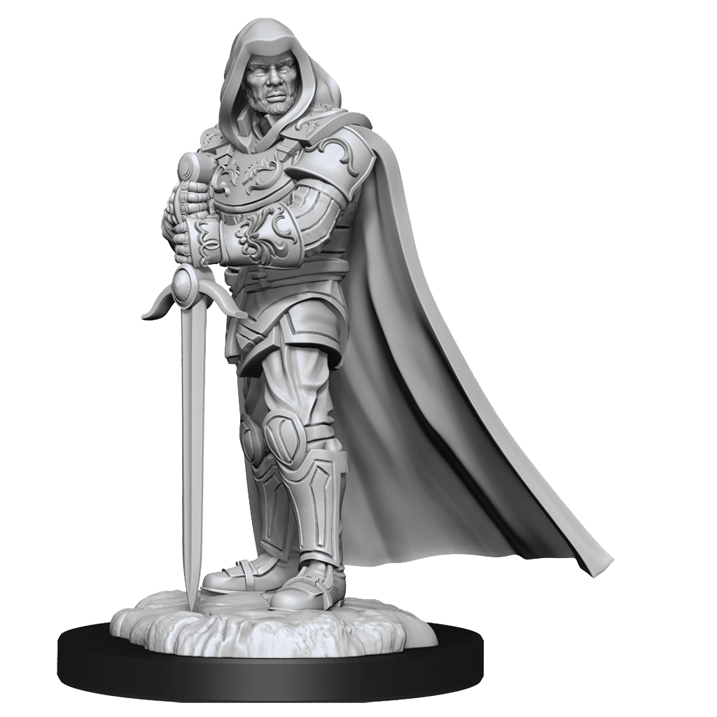 D&D NOLZUR'S MARVELOUS MINIATURES: HUMAN PALADIN MALE1