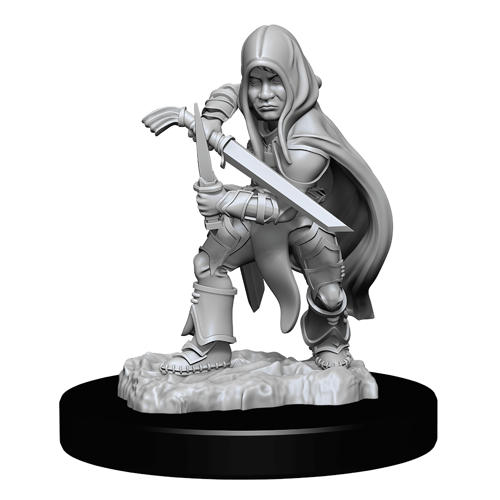 D&D NOLZUR'S MARVELOUS MINIATURES: HALFLING ROGUE MALE1