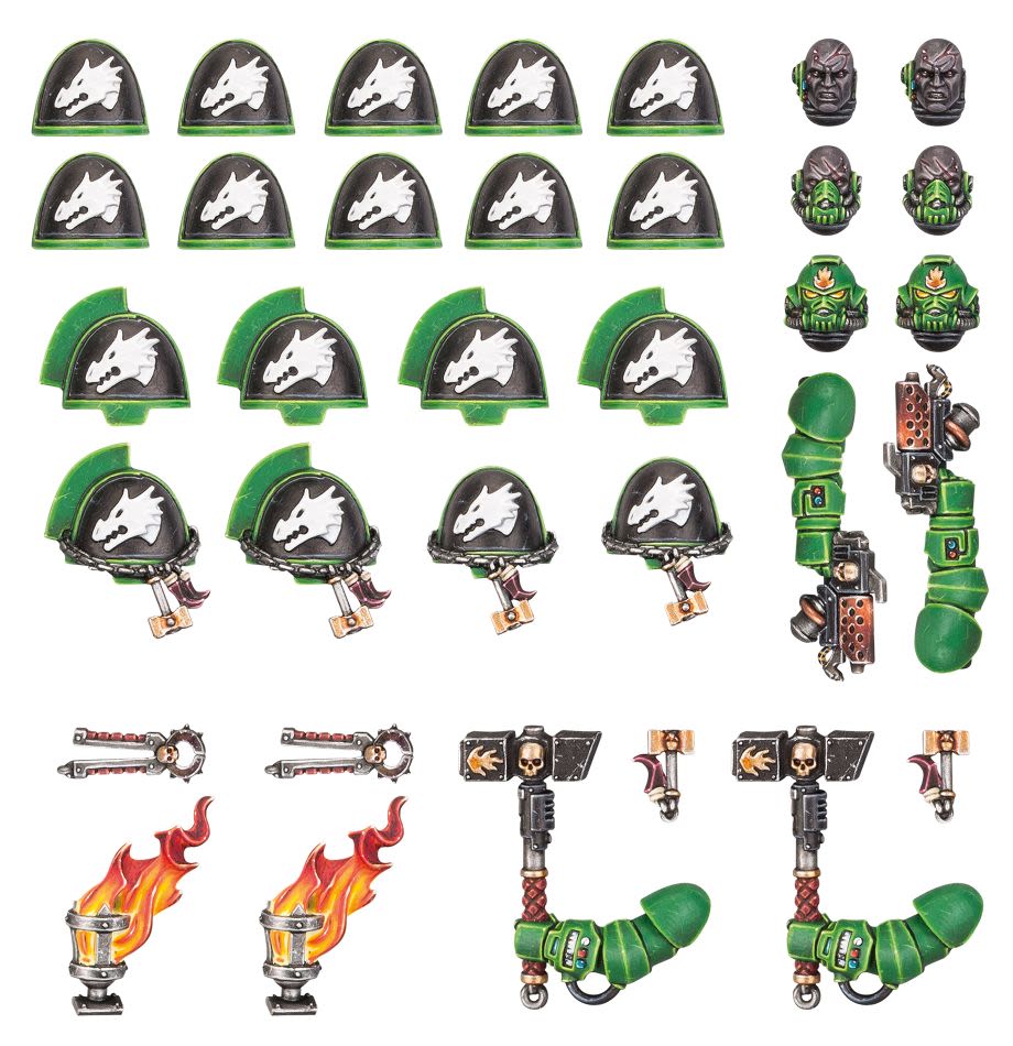 SALAMANDERS PRIMARIS UPGRADES & TRANSFERS1