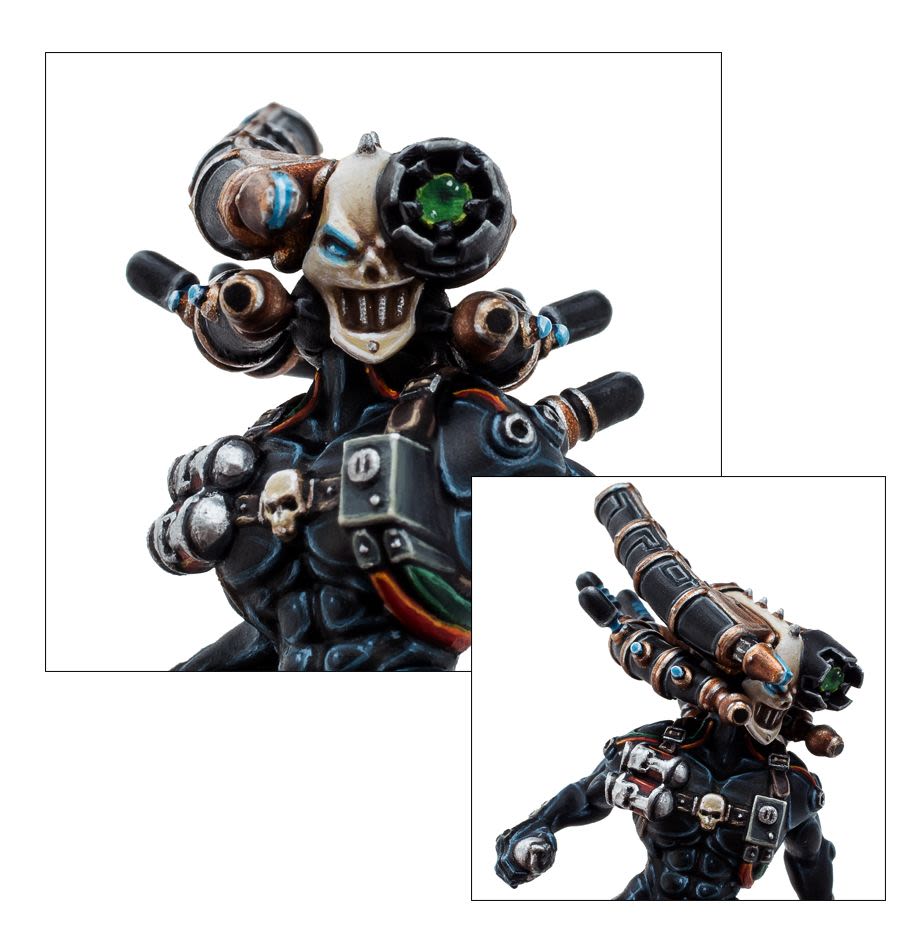 OFFICIO ASSASSINORUM CULEXUS ASSASSIN3