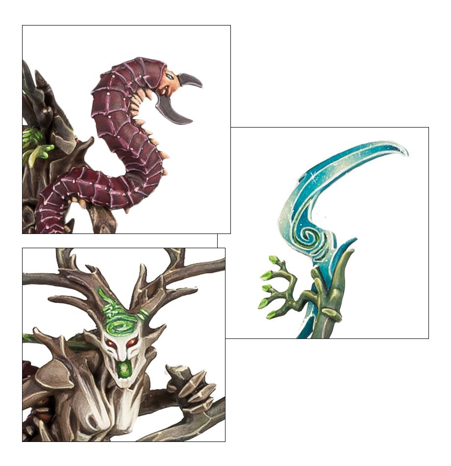 SYLVANETH BRANCHWYCH2