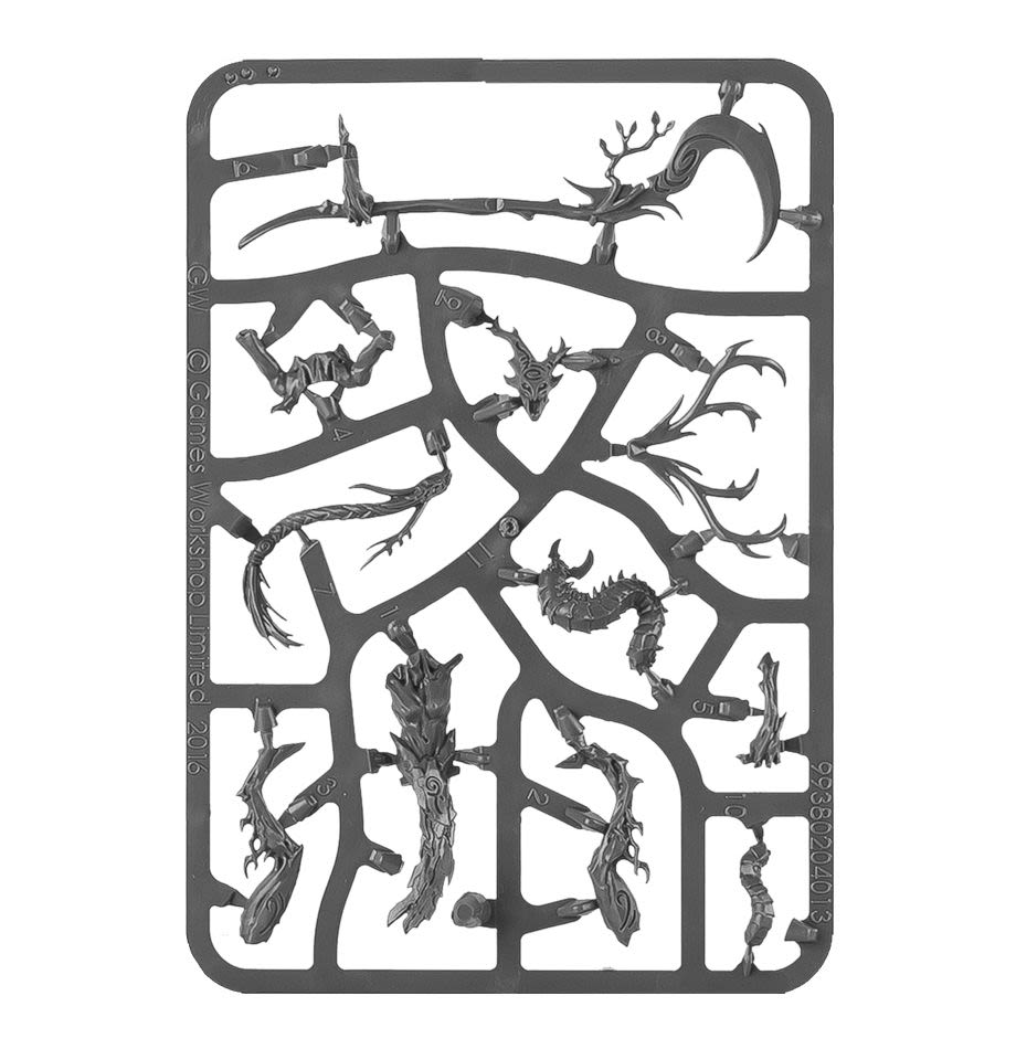 SYLVANETH BRANCHWYCH4