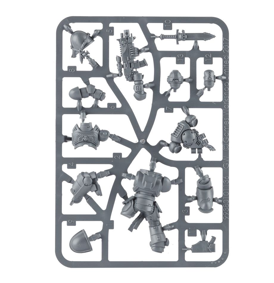 30 YEARS OF 40.000: PRIMARIS VETERAN SERGEANT (EASY TO BUILD)6