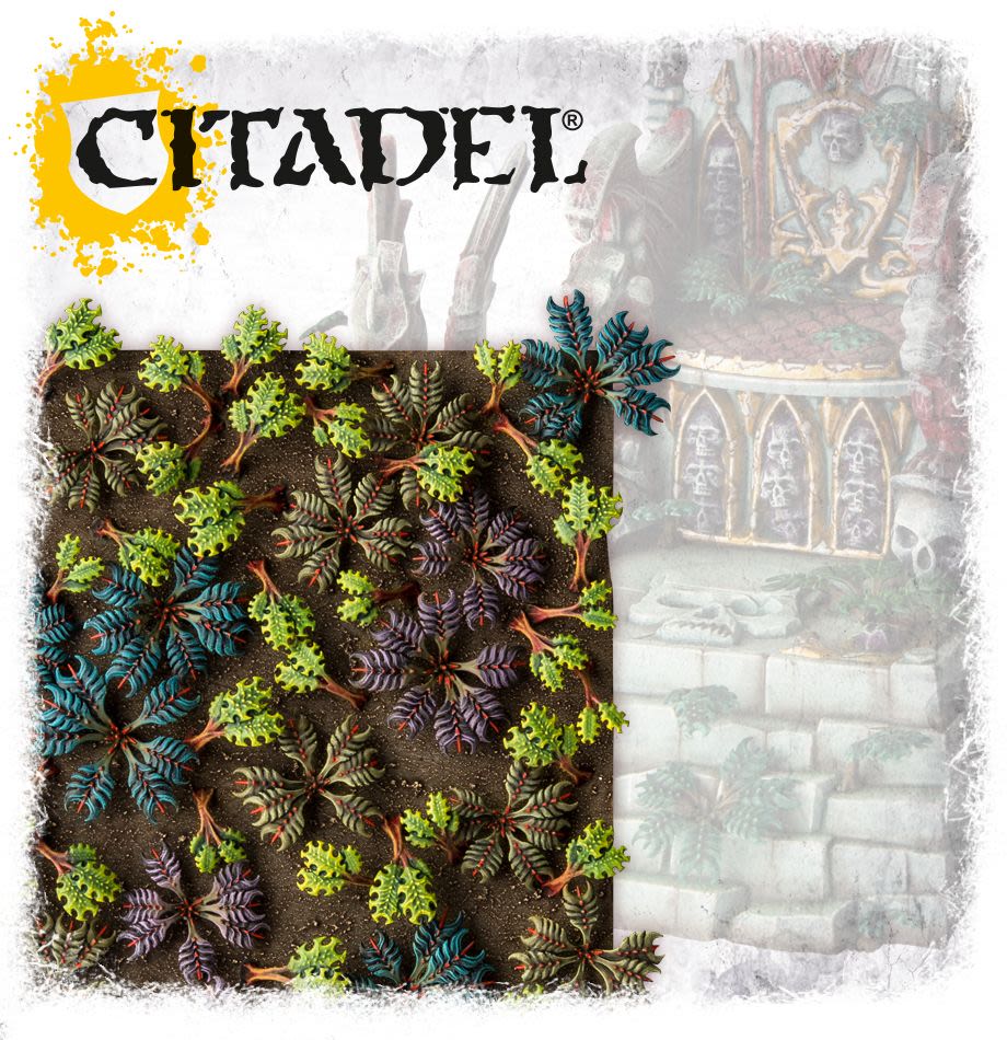 CITADEL ACCESORIES: BARBED BRACKEN1