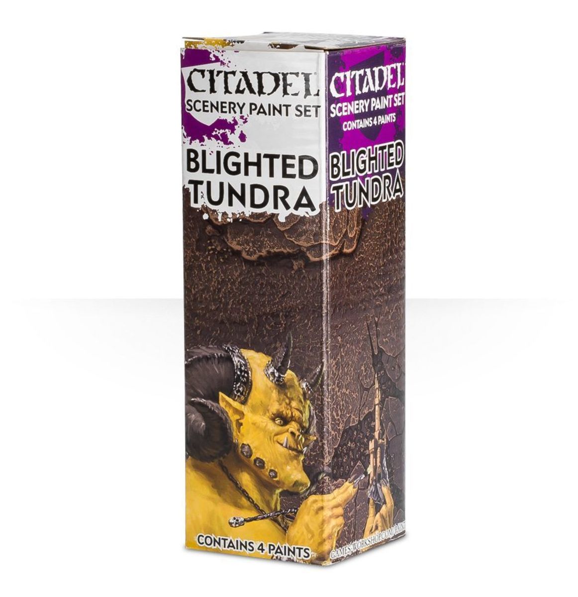 BLIGHTED TUNDRA PAINT SET4