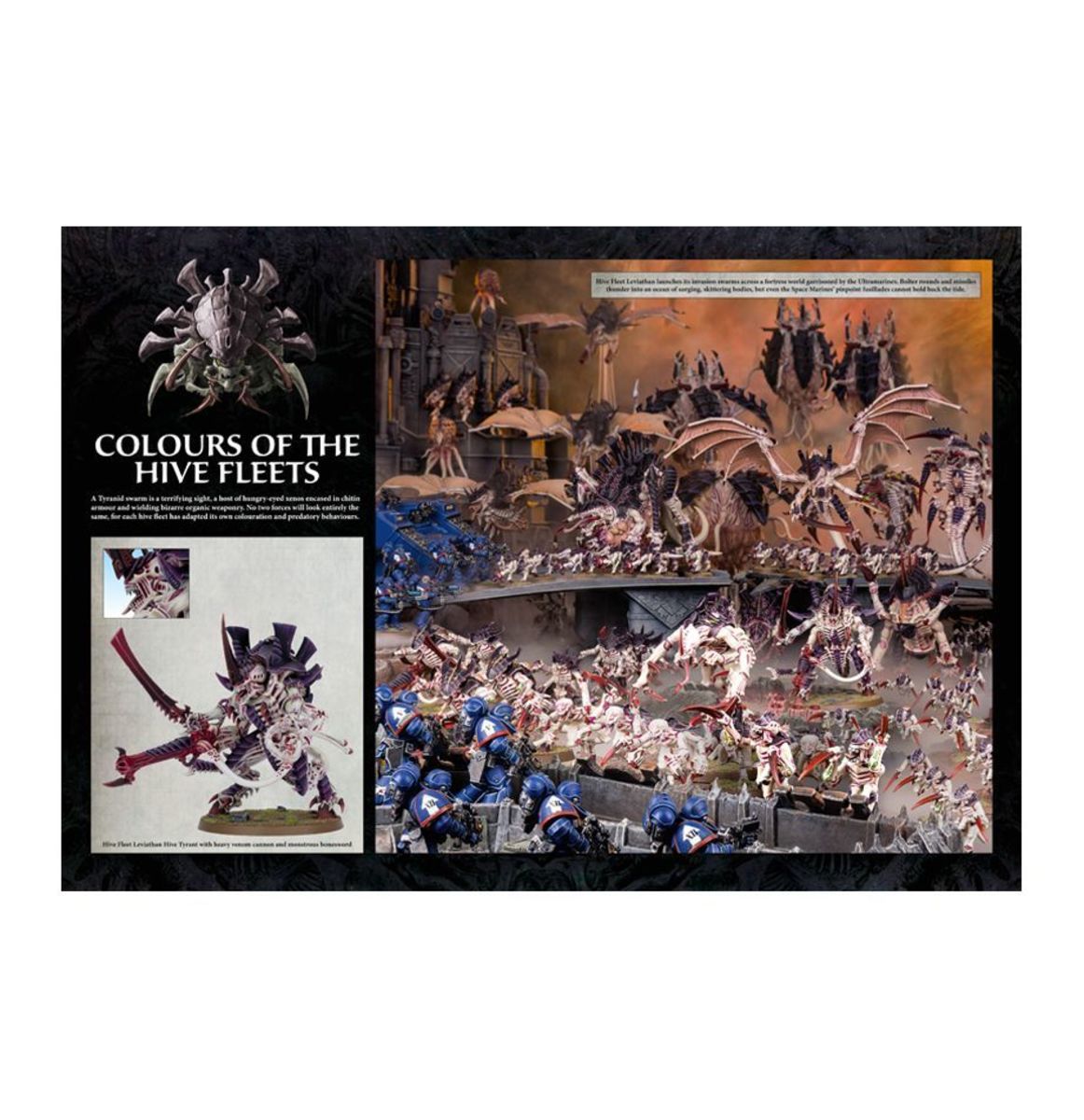 TYRANID CODEX COLLECTOR'S EDITION (HB) (INGLES)7