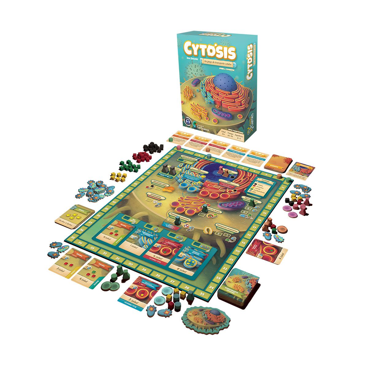 CYTOSIS (ESPAÑOL)2