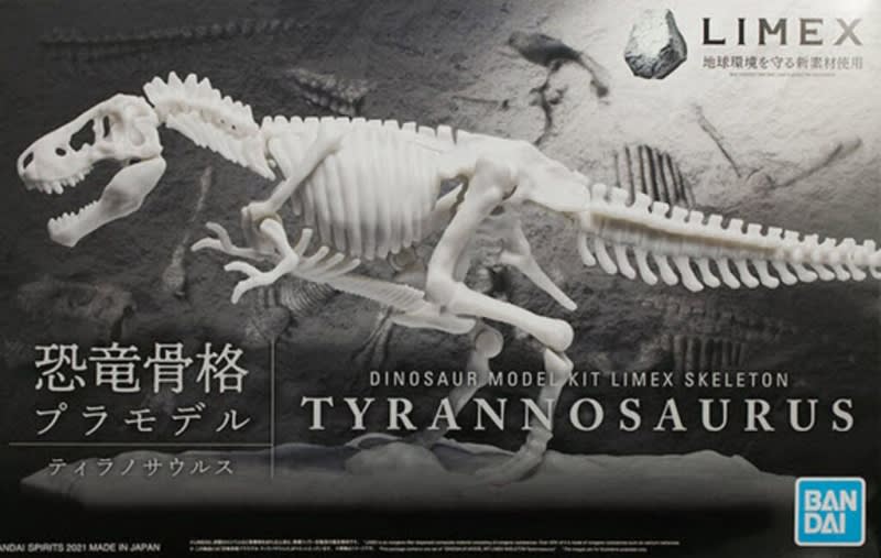 DINOSAUR LIMEX SKELETON TYRANNOSAURUS1
