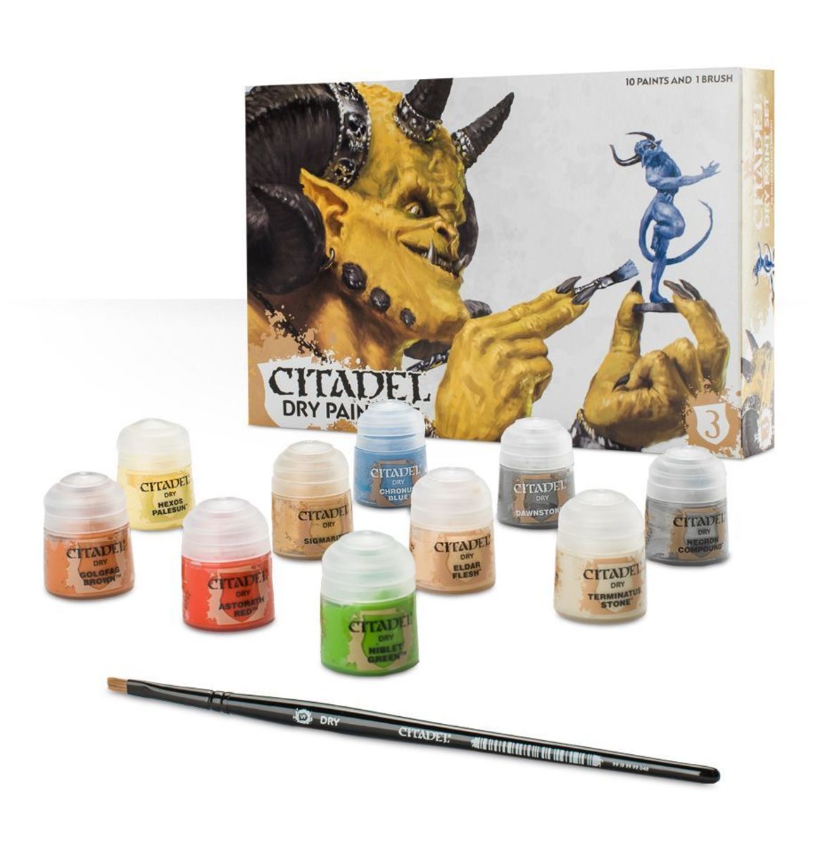 CITADEL PAINT SET: DRY PAINT SET1