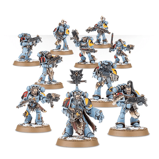 SPACE WOLVES GREY HUNTERS1