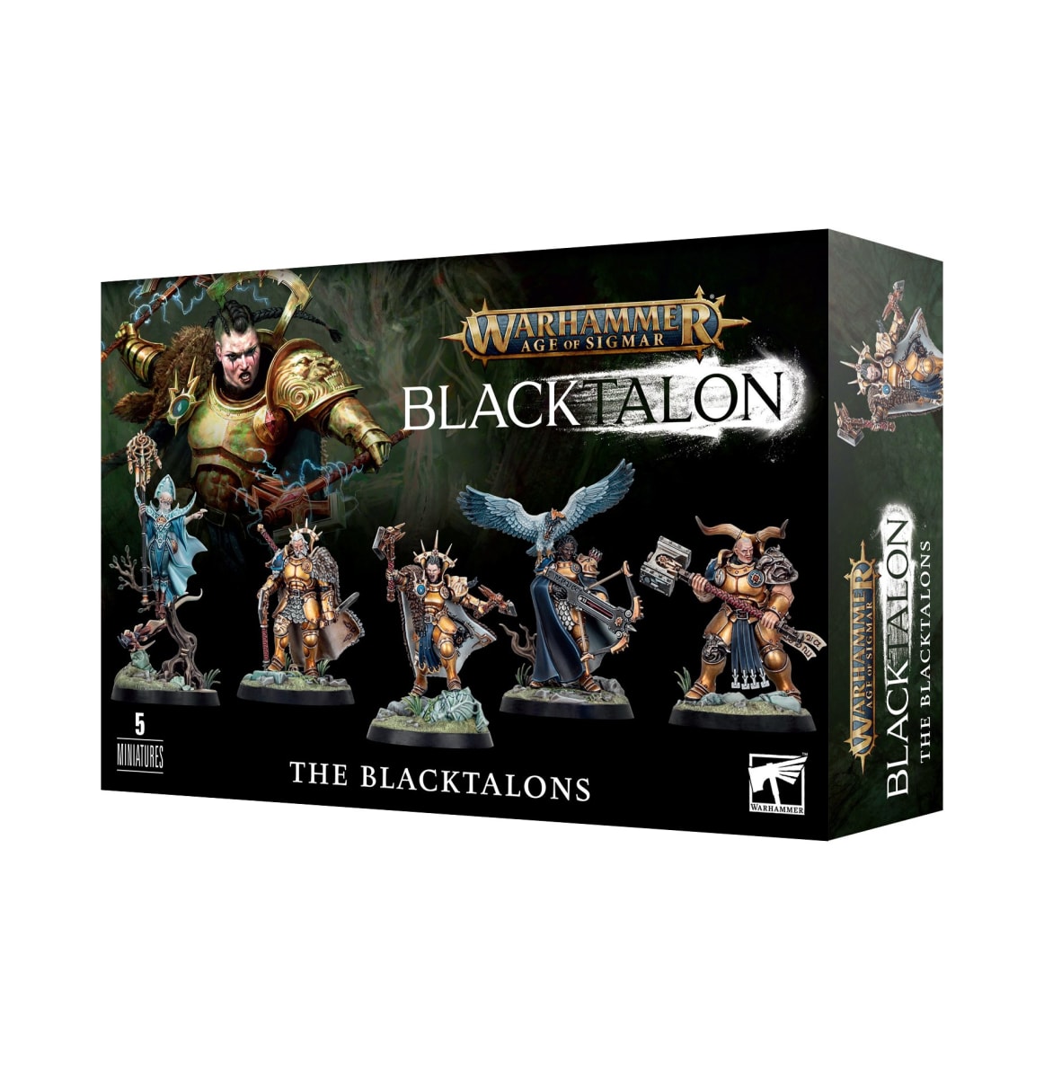 STORMCAST ETERNALS: THE BLACKTALONS1