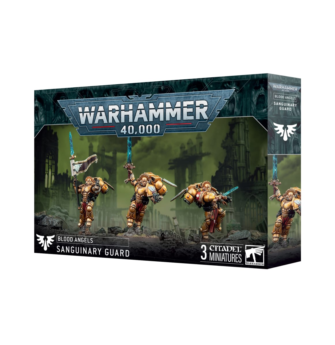 BLOOD ANGELS: SANGUINARY GUARD1