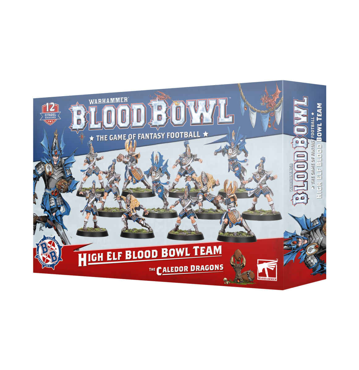 BLOOD BOWL: HIGH ELF BLOOD BOWL TEAM1