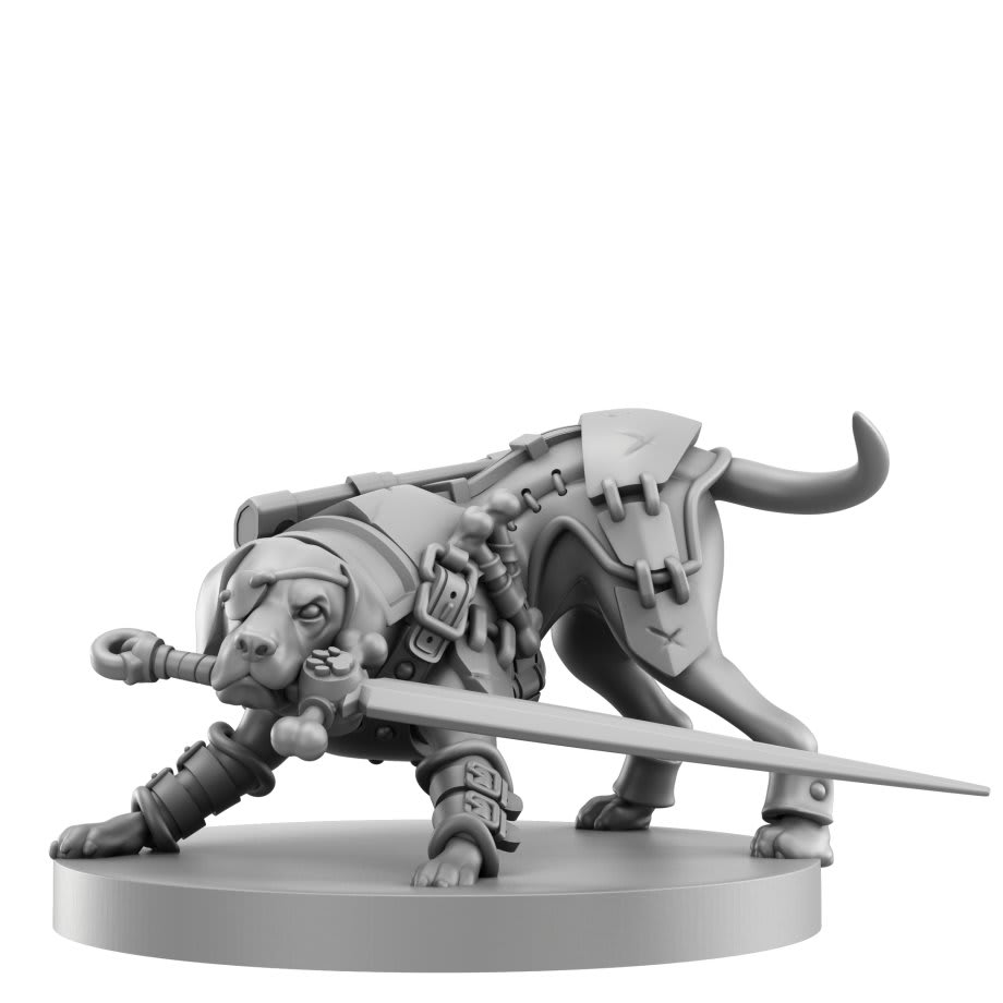 ANIMAL ADVENTURES: STARTER SET5