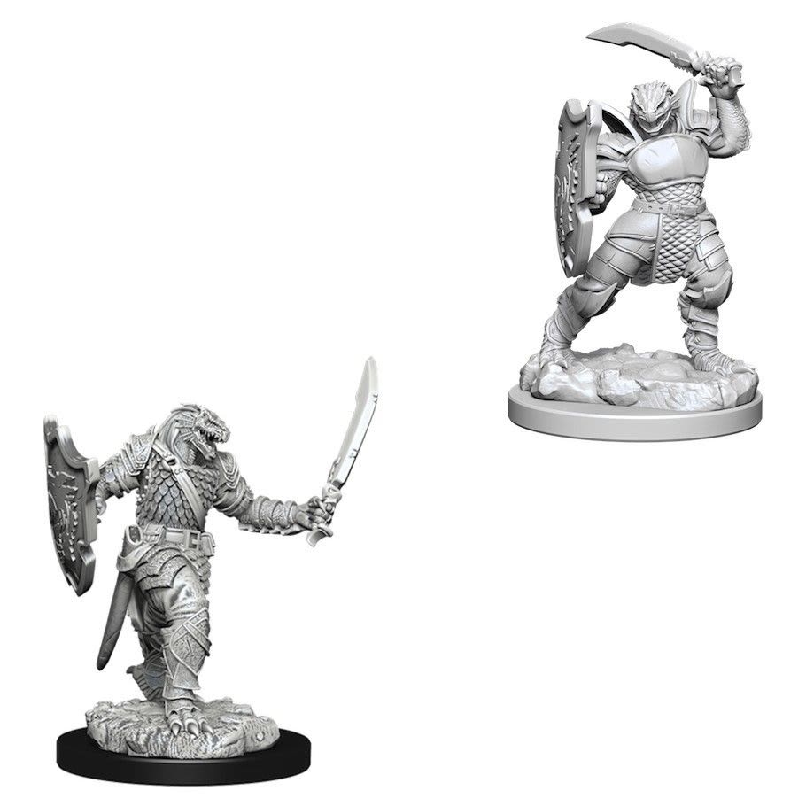 D&D NOLZUR'S MARVELOUS UNPAINTED MINIATURES: DRAGONBORN FEMALE PALADIN1