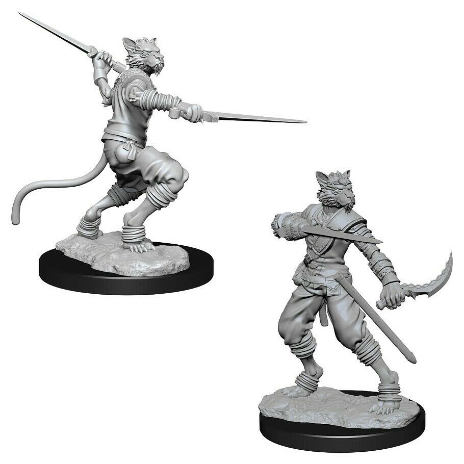 D&D NOLZUR'S MARVELOUS UNPAINTED MINIATURES: MALE TABAXI ROGUE1