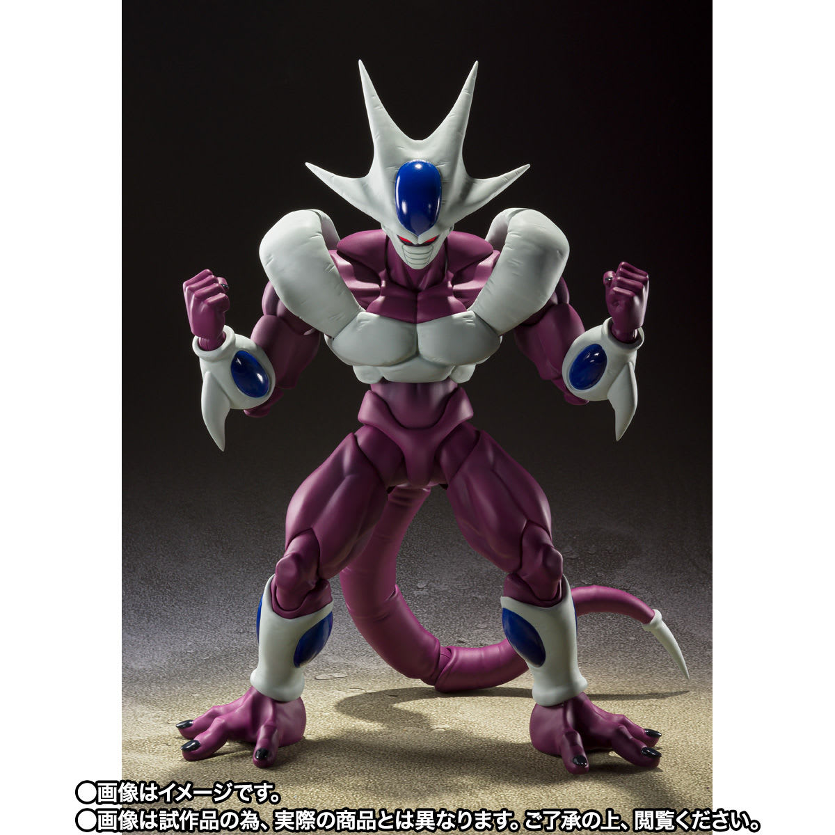 S.H.FIGUARTS COOLER FINAL FORM2