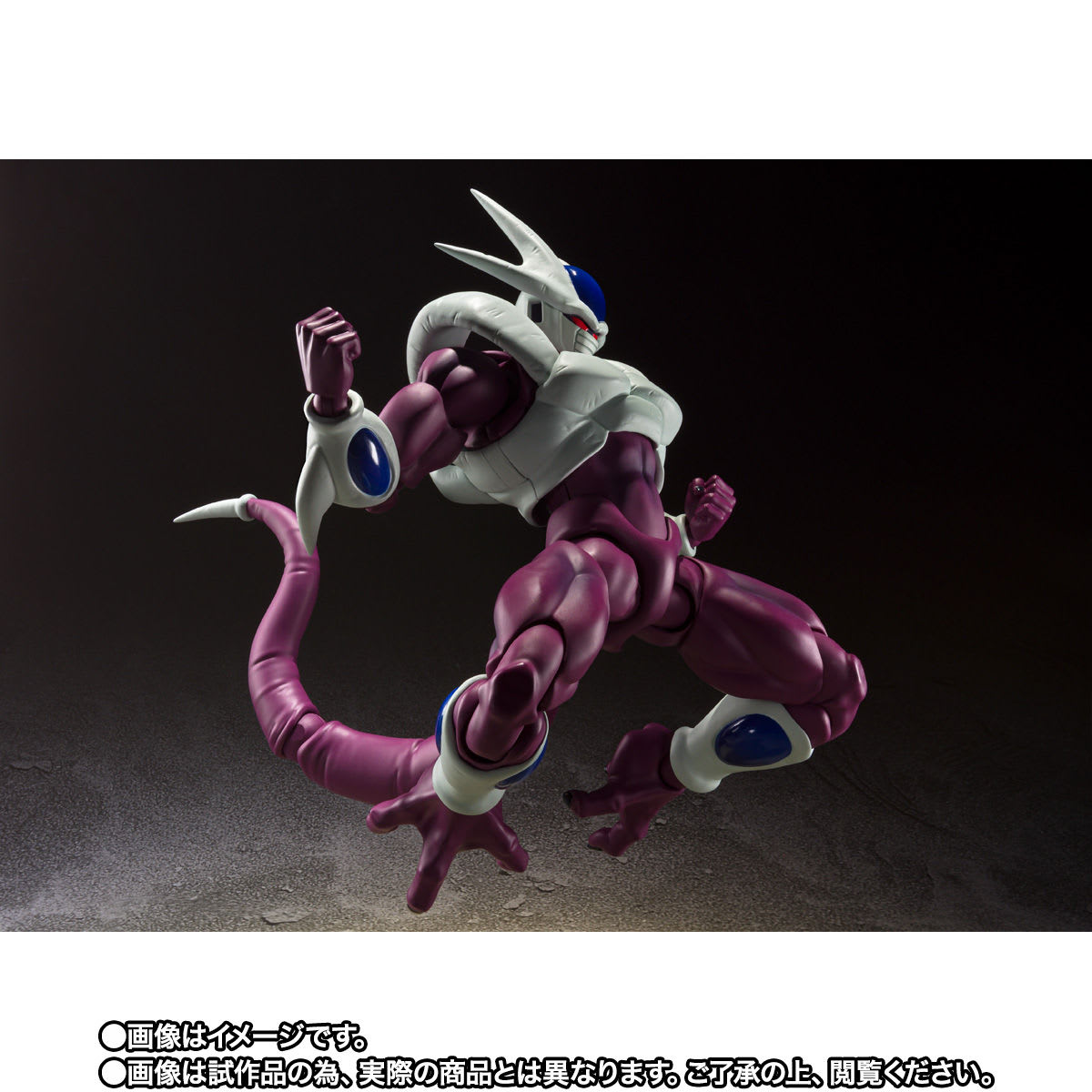S.H.FIGUARTS COOLER FINAL FORM3