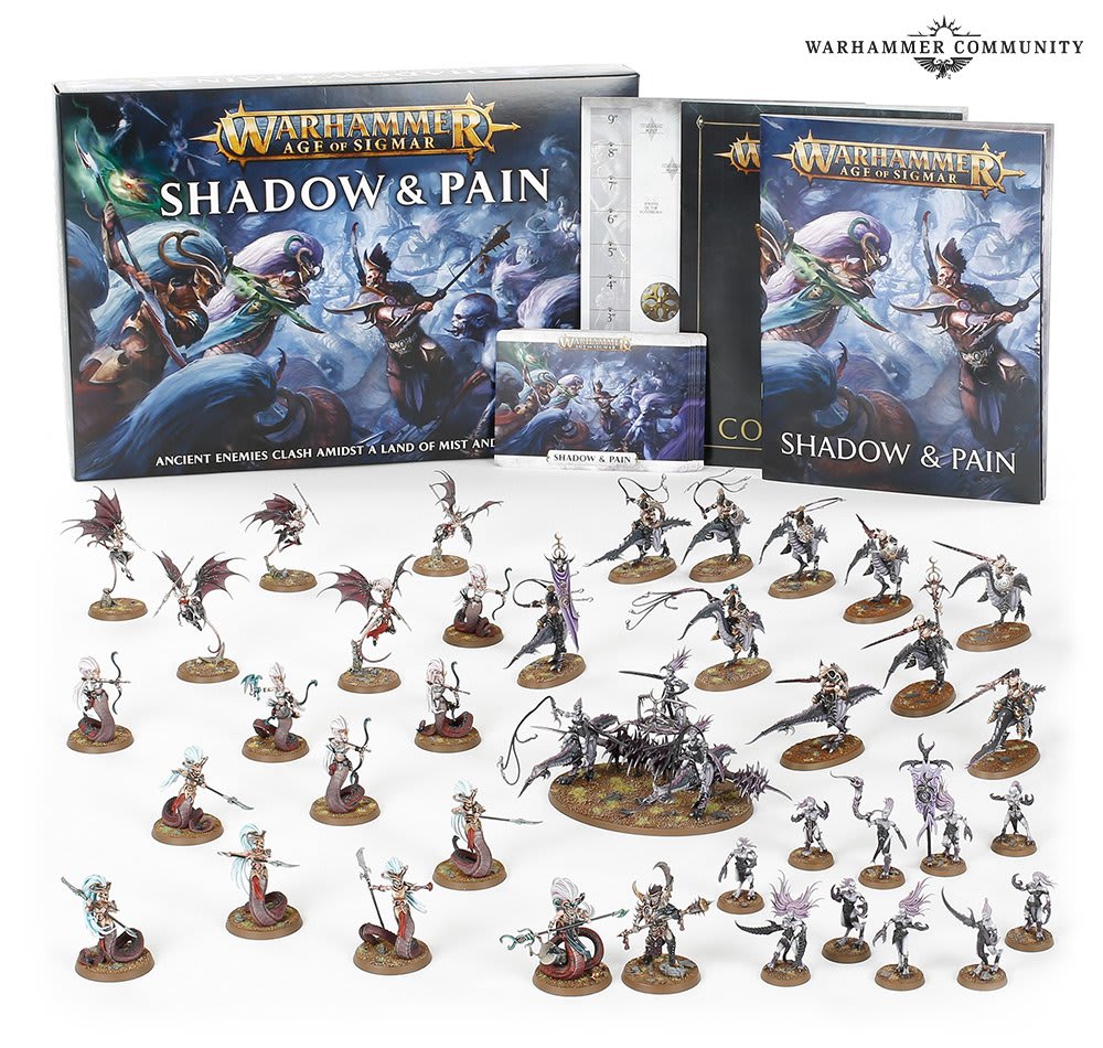 SHADOW AND PAIN (SPA)1