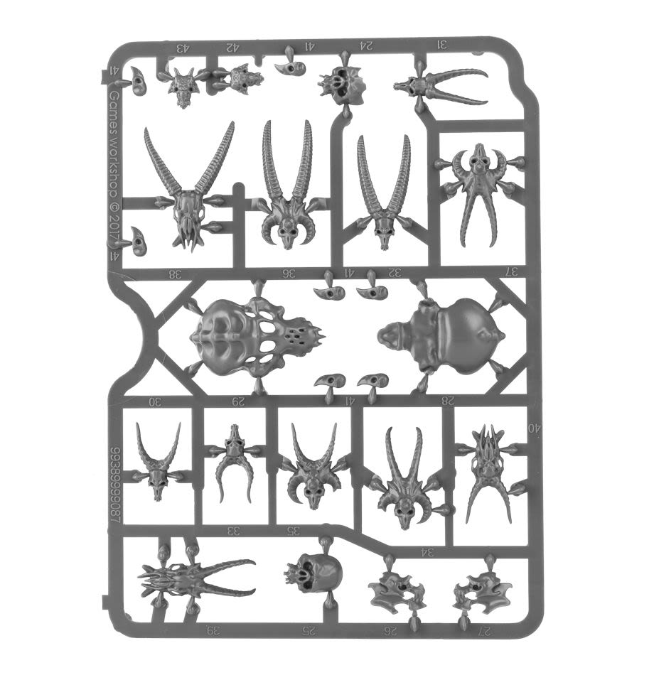 CITADEL SKULLS7