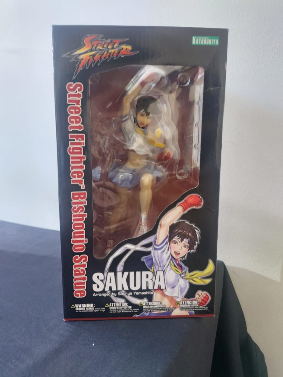STREE FIGTHER BISHOUJO SAKURA6