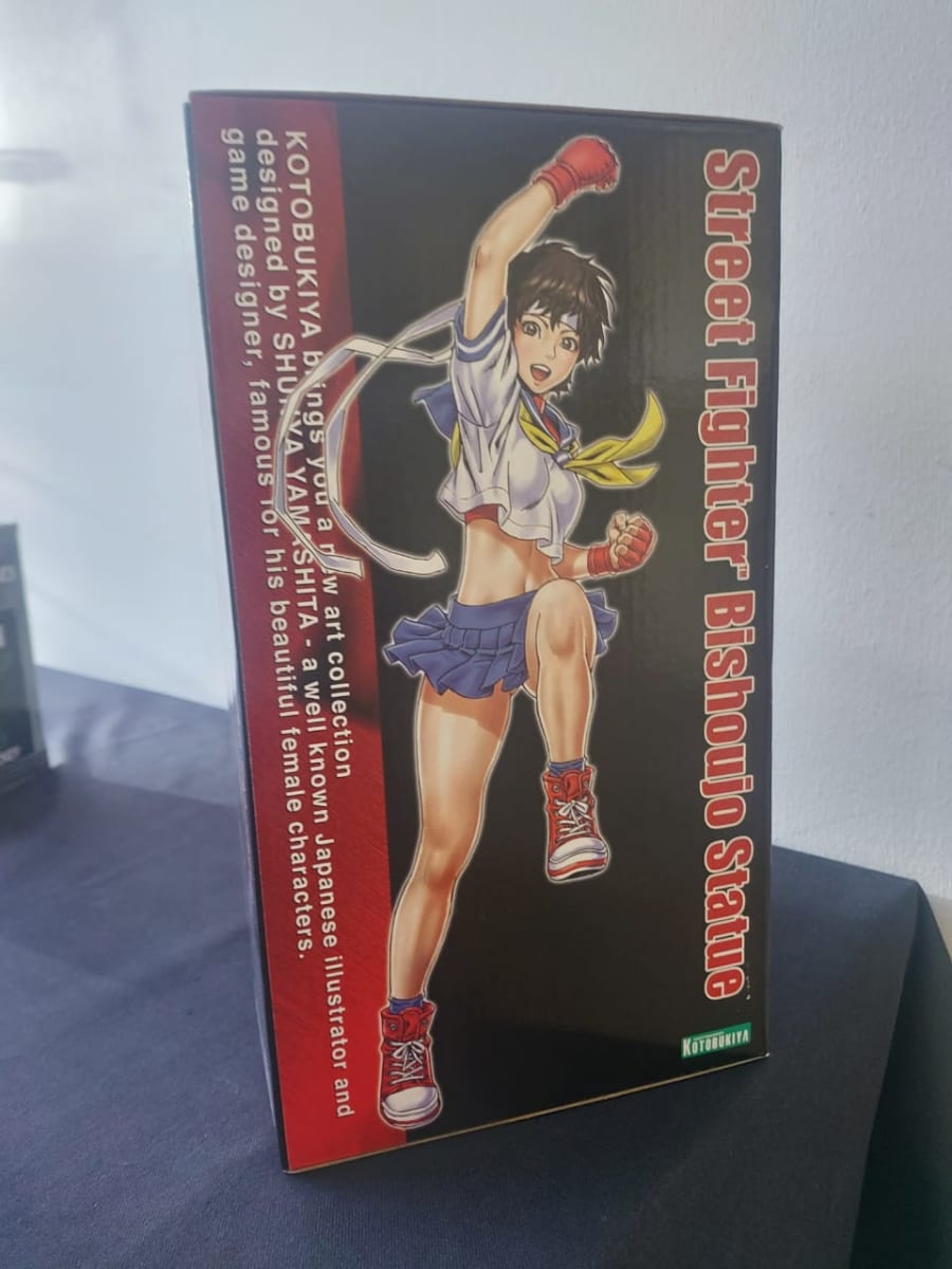 STREE FIGTHER BISHOUJO SAKURA3