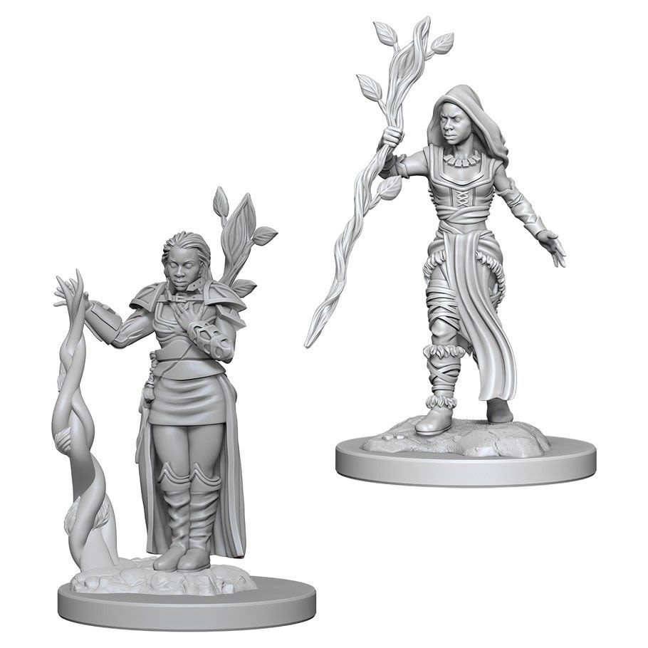 D&D NOLZUR'S MARVELOUS UNPAINTED MINIS: HUMAN FEMALE DRUID1