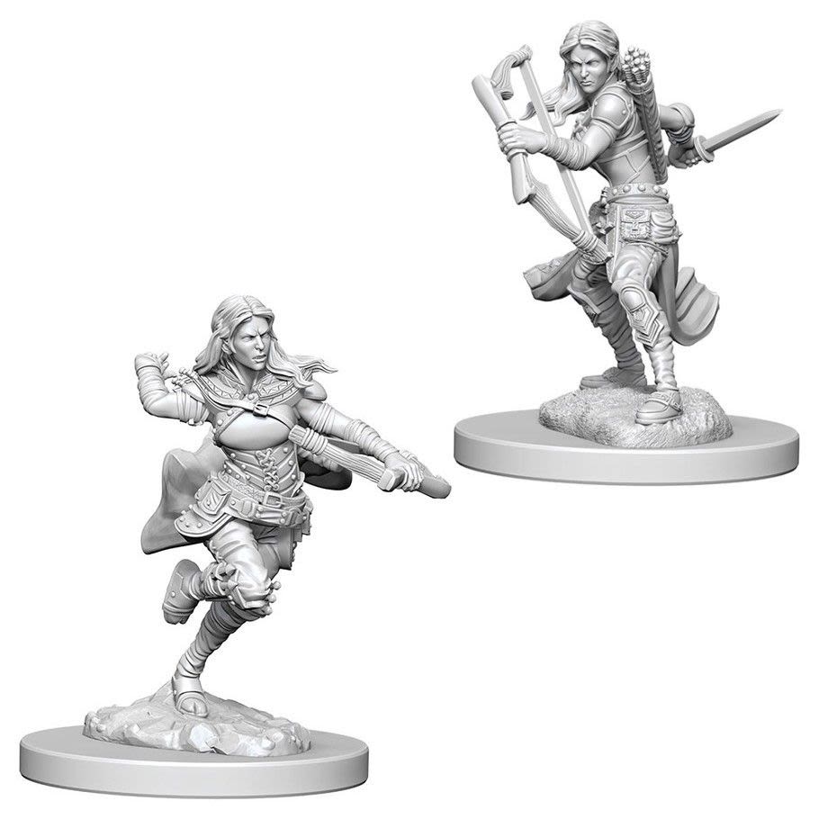 D&D NOLZUR'S MARVELOUS UNPAINTED MINIS: AIR GENASI FEMALE ROGUE1
