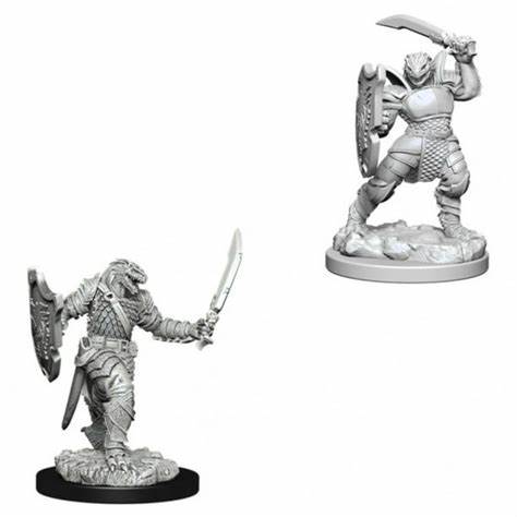 Wave 5- Dragonborn Female Paladin1