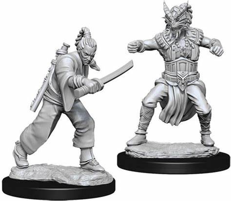 Wave 8- Male Human Monk1