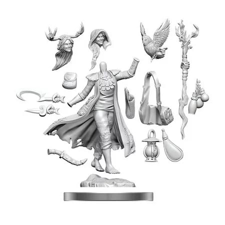 D&D Frameworks Wave 1- Human Druid Female1