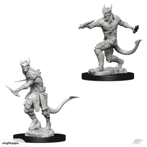 D&D NOLZUR'S MARVELOUS UNPAINTED MINIATURES: TIEFLING MALE ROGUE1