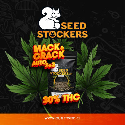 Semillas | Mack & Crack | Auto | 3+2 semillas | Seed Stockers