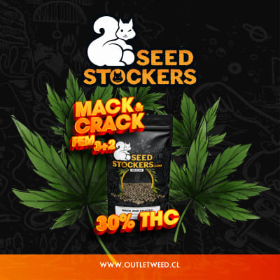 Semillas | Mack & Crack | Fem | 3+2 semillas | Seed Stockers