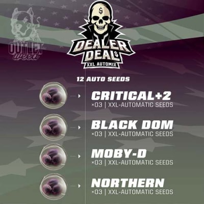Semillas | Dealer Deal XXL Automix | Auto | 12 semillas | BSF