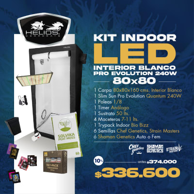 Kit Indoor | Led | Int. Blanco | 80 x 80 | Pro Evolution 240W